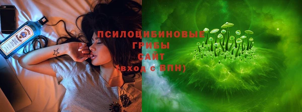таблы Алексин