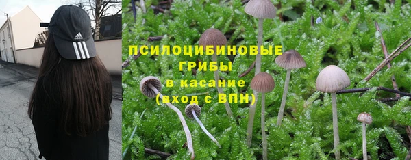 прущие крисы Алексеевка