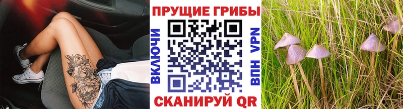 Псилоцибиновые грибы прущие грибы  Боровск 